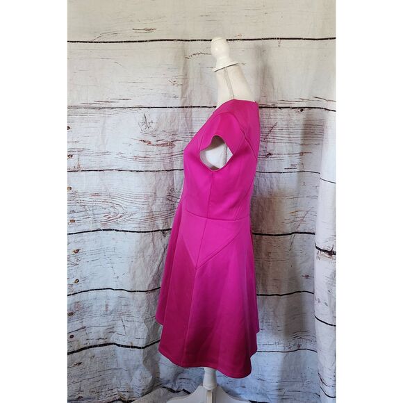Ted Baker Eebrr Skater Dress Size 10 - Picture 4 of 8